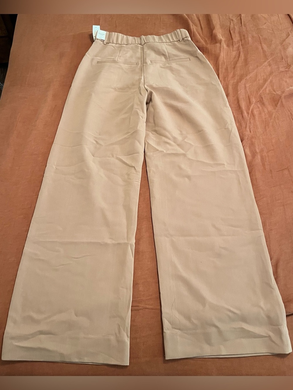 Abercrombie & Fitch Tan Wide-Leg Pleated Chinos - Picture 2 of 3